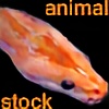 animalstock's avatar