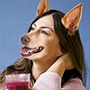 AnimalTFmorpher22's avatar