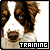 AnimalTraining's avatar