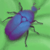 AnitaaKartika's avatar