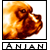 Anjan's avatar