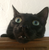 AnonymousButObvious's avatar