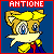 Antoine-fan-club's avatar