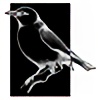 antoniavogel's avatar