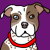 APBT-Kennel's avatar