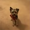 Aqua-dog's avatar