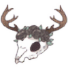 AquaDrageen's avatar
