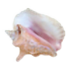 Aquaphobic-SeaWitch's avatar