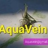 AquaVein's avatar