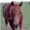 ArabiansRock's avatar