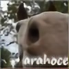 arahoce's avatar