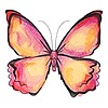 arcane-butterfly's avatar