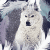 Arctic-w0Lf's avatar