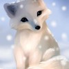 ArcticF0x201's avatar
