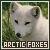 ArcticFoxfan's avatar