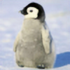 arcticpenguin92's avatar