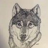 Arcticwolf-jaguars's avatar