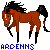 Ardenns's avatar