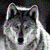 argentwolf's avatar