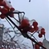 AriesRCN's avatar