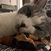ArroLL's avatar