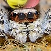 ArtMommyintheHills's avatar