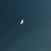 artyfice's avatar
