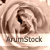 ArumStock's avatar