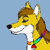 AshWolfForever's avatar