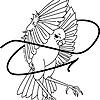 AsiaMockingbird's avatar