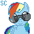 Ask--Rainbow--Dash's avatar