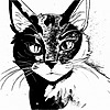 ask-da-Cinderpelt's avatar