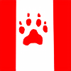 Ask-okami-Canada's avatar
