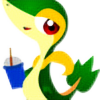 Ask-Snivy-Chan's avatar