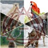Ask-Spottedleaf-546's avatar