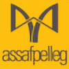 assafpelleg's avatar