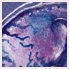Astralseed's avatar