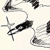 ASTREUGN's avatar