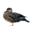 atiroines's avatar