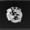 AtlasMagnum's avatar