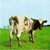 atomheartbrother's avatar