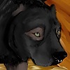 ATTACK--DOG's avatar