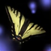 Aurora66's avatar