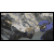 auroradragon's avatar