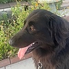 AutismWhimsyBrush's avatar