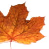 autumn--plz's avatar