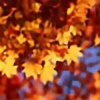 Autumn-Maple's avatar