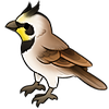 Autumnlark's avatar