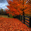 AutumnRainStorm's avatar