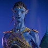 Avatarmiranda's avatar